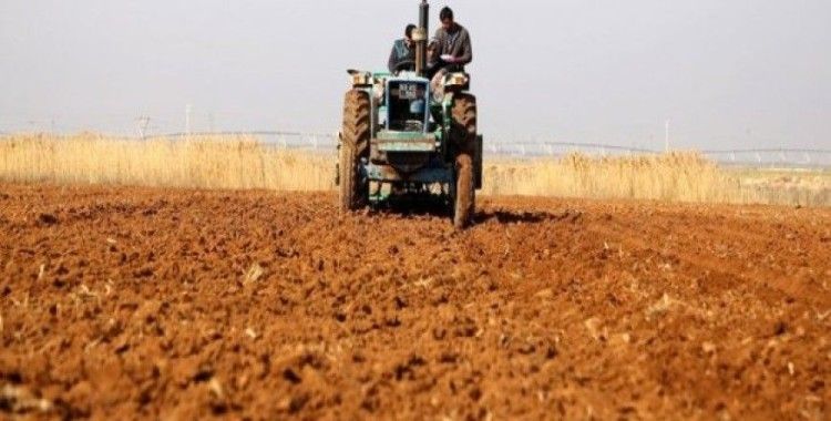 Suriye'de savaş tarımı da vurdu