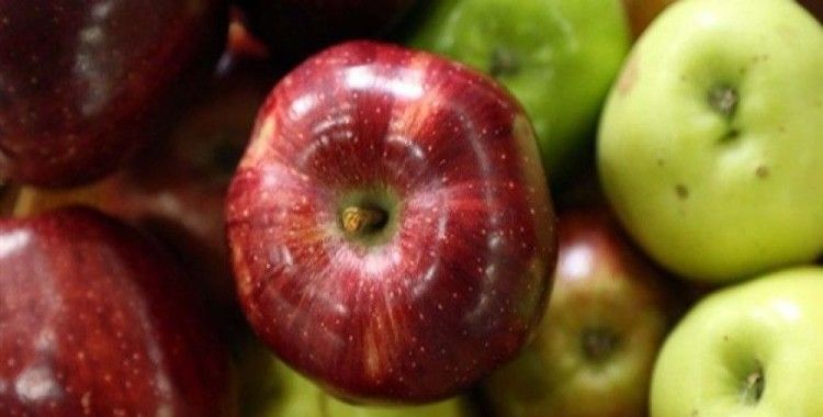 Bu elmaları Türkiye'de bulmak zor