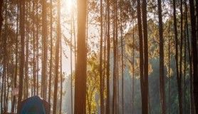 İlk kez kamp yapacaklara tavsiyeler