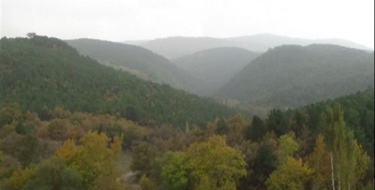 Murat Dağı'nda sonbahar