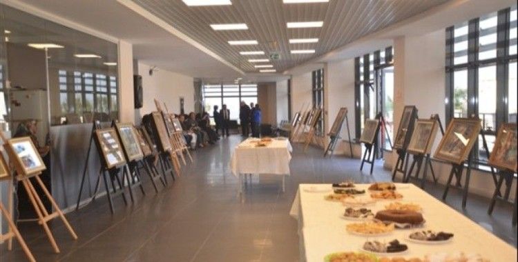 Sinop'ta 3 boyutlu kağıt rölyef resim sergisi açıldı