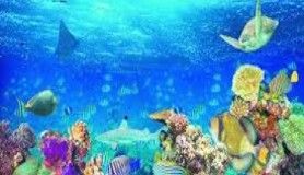 Deniz suyu neden tuzludur?