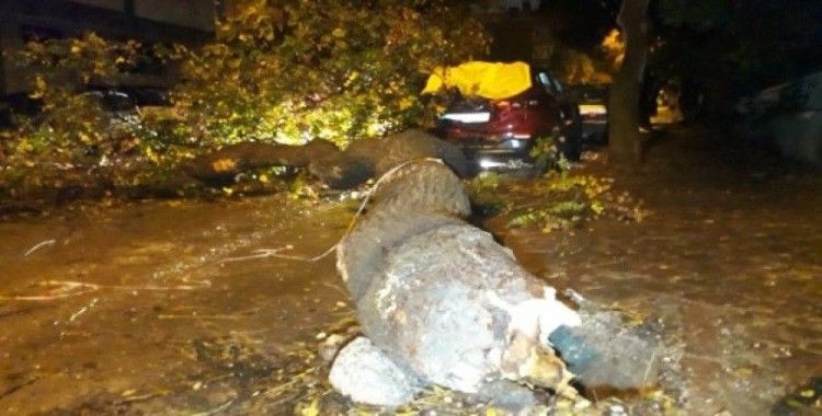 Ankara'da şiddetli yağış ve rüzgar hasara neden oldu