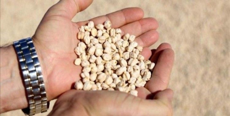 ​Diyarbakırlı çiftçiye 51 ton ücretsiz sertifikalı tohum