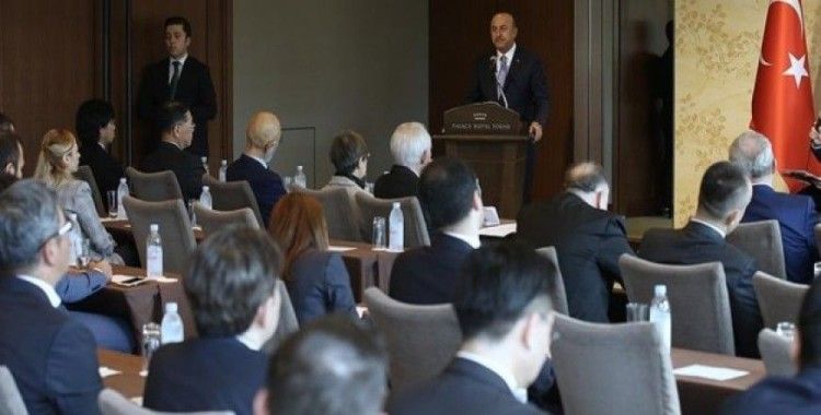 Dışişleri Bakanı Çavuşoğlu Japonya'da