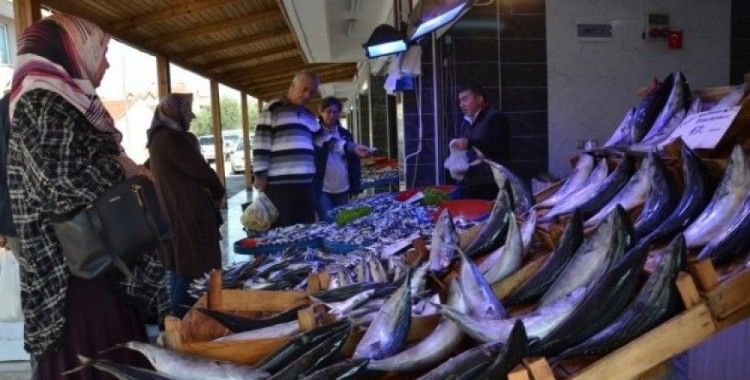 İznik'e modern balık pazarı