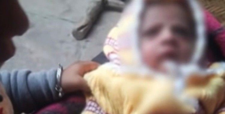 Hindistan'da bir maymun 12 günlük bebeği öldürdü