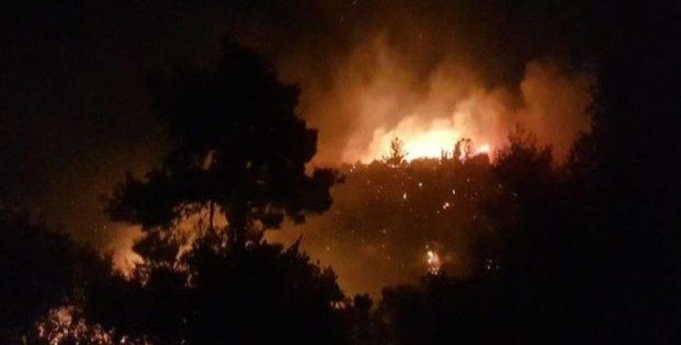 Antalya'da 4 mahalleyi tehdit eden orman yangını