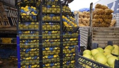 Türkiye'de yetişen sebze ve meyveler Irak piyasasının vazgeçilmezi