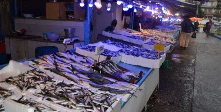 Karadeniz'de avlanma rakamları her yıl düşüyor