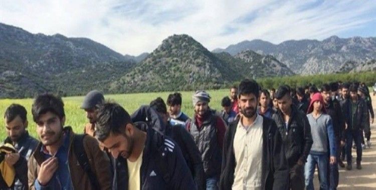 ​Kaçak Afganlar, dağda çalışırken yakalandı