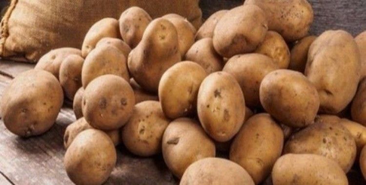 Ahlat'tan Irak'a patates
