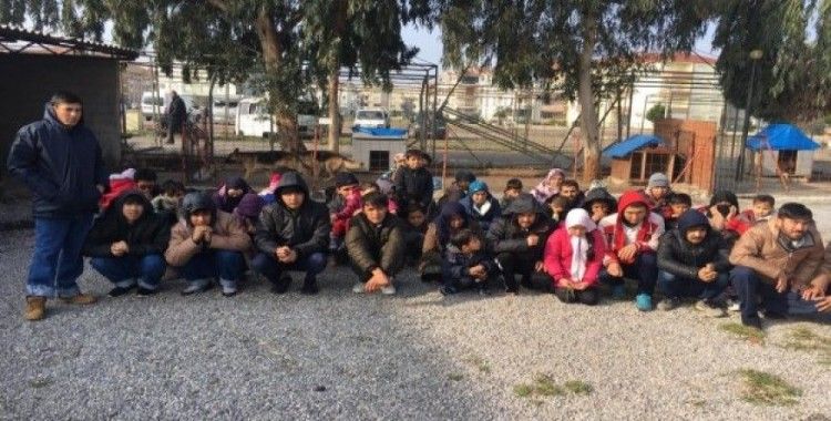 Ayvalık'ta 50 kaçak göçmen yakalandı