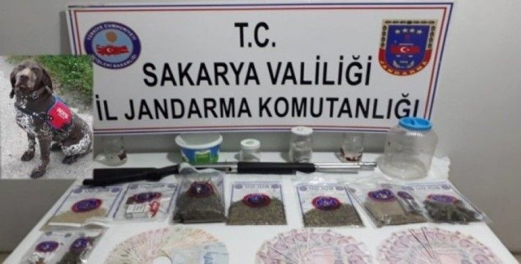 Jandarma kasım ayı uyuşturucu raporu, 9 tutuklama