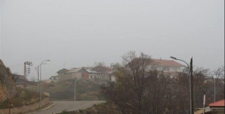Oltu'da sis etkili oldu