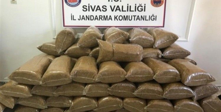 Sivas'ta 492 kilo tütün ele geçirildi