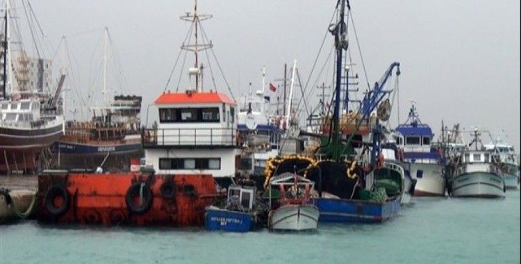 Mersinli balıkçılar limana tutsak