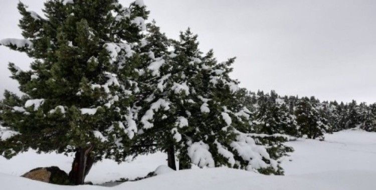Mersin'in yüksek kesimlerinde kar yağışı