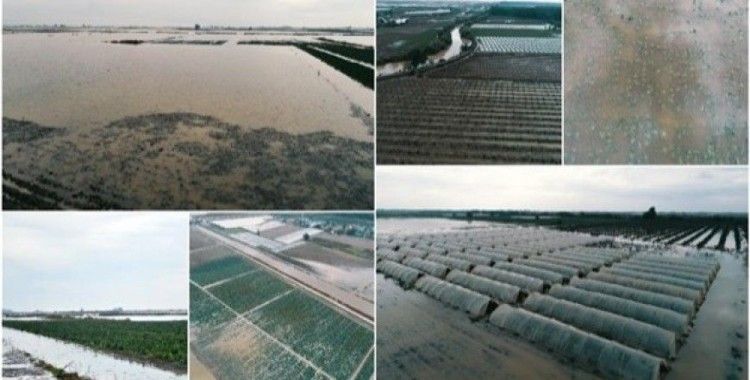 Mersin'de sağanak tarım alanlarına zarar verdi