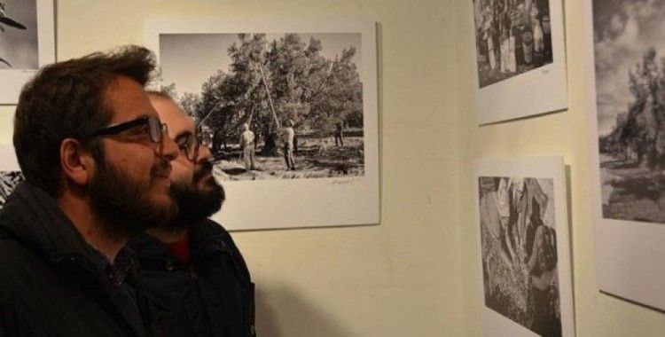 'Süt Emek ve Hayat' ile 'Fidandan Sofraya Zeytin' fotoğraf sergisi açıldı