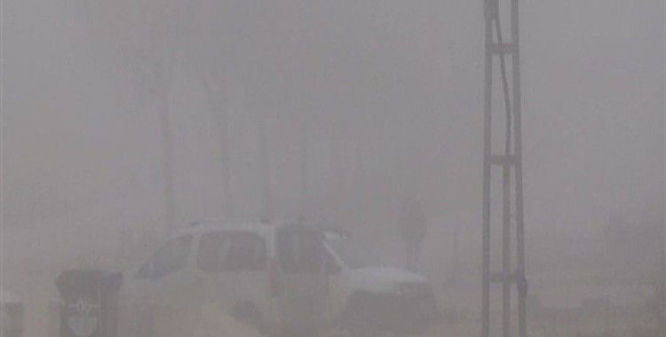 Nizip'te yoğun sis