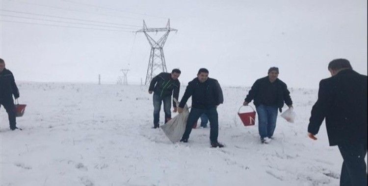 Kars'ta yaban hayvanlar için doğaya yem bırakıldı