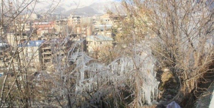 Hakkari'de ağaçları buz tuttu
