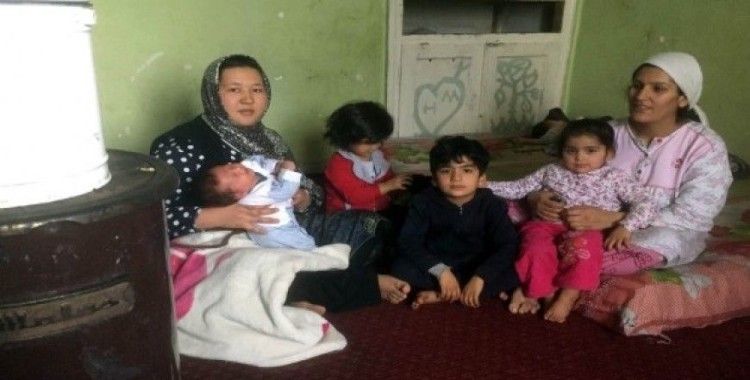 İki Afgan mülteci aile aynı evde kaderlerini paylaşıyor