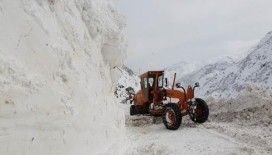 Hakkari-Şırnak kara yolu çığ düşmesi sonucu kapandı