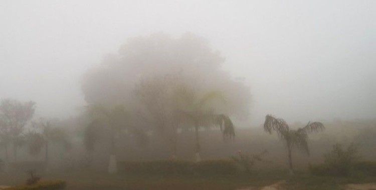 Pakistan'da sis hayatı felç etti, görüş mesafesi 10 metre