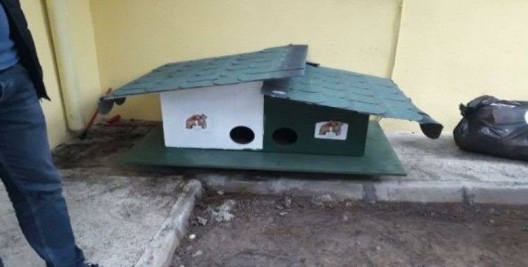 Belediyeden yeni kedi evleri