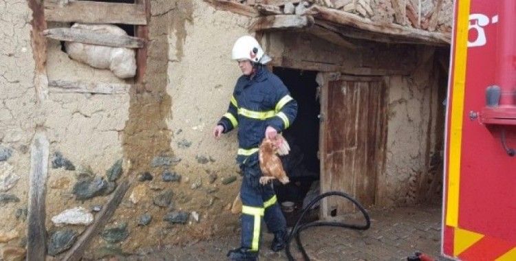 İtfaiye ekipleri yangında tavukları kurtardı