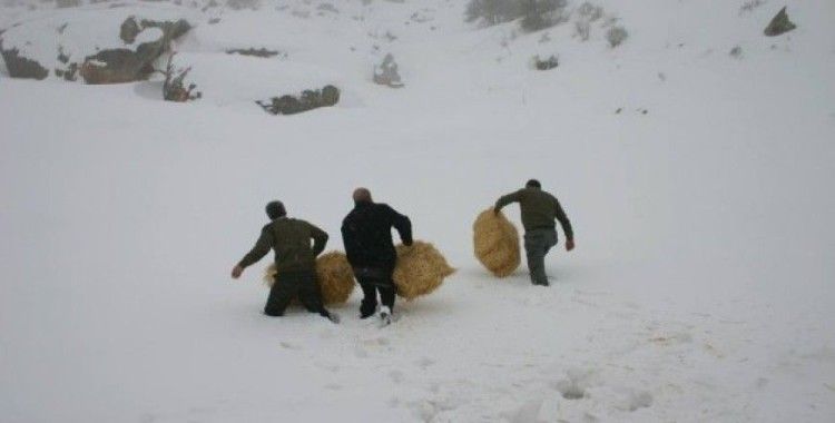Elazığ’da yaban hayvanları için 4 ton yem bırakıldı