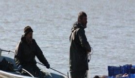 İsrail sazanları Irak ve Suriye'ye ihraç ediliyor