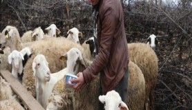 Bir elini kaybetti devlet desteğiyle üretime devam etti