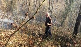 Fatsa'da orman yangını