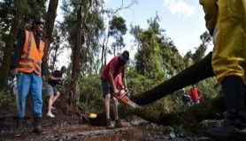 Brezilya'da ölü sayısı 99'a yükseldi