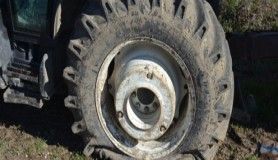 Mutlu şehirde şok eden olay