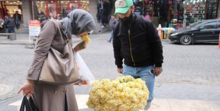 Diyarbakır sokakları nergis çiçeği kokmaya başladı