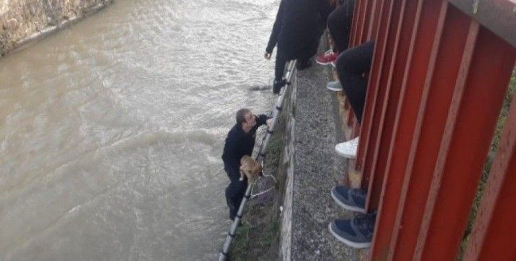 4 metre yükseklikten dereye düşen yavru köpeği itfaiye kurtardı
