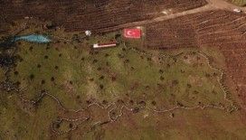 100. yılda 19 bin 19 fidan ile Türkiye haritası