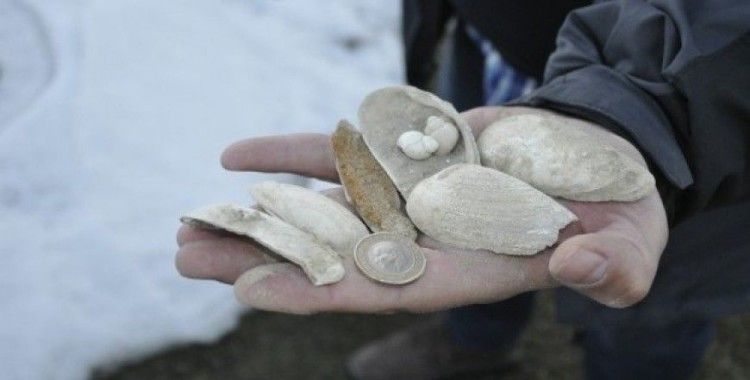 Muş’ta deniz canlılarına ait 11 milyon yıllık fosiller bulundu