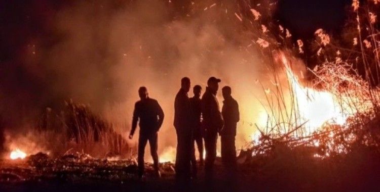 İznik'te 13 saattir devam eden yangın söndürüldü