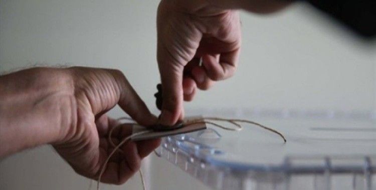 İstanbul 2014 yerel seçimi ve 2019 yerel seçiminin karşılaştırılması