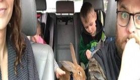 Dev tavşan ile küçük kızın dostluğu görenleri gülümsetiyor