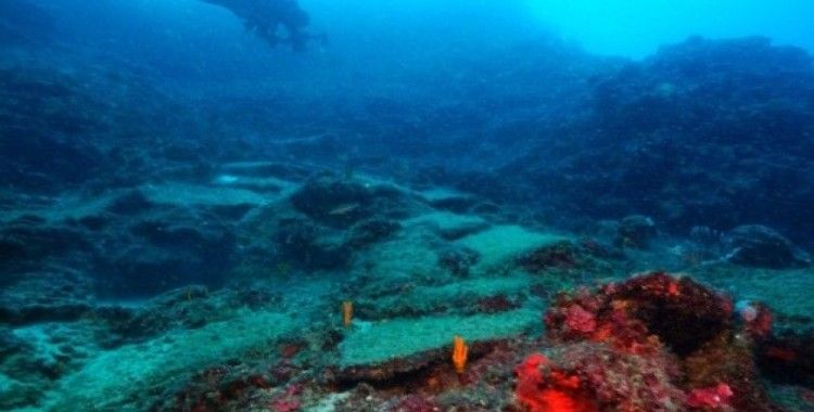 Dünyanın 3600 yıllık en eski ticaret gemisi batığı Antalya'da bulundu