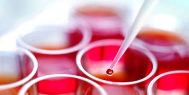 A’dan Z’ye kemik iliği nakli