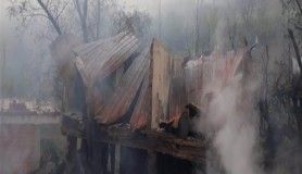 Samsun'da yangında 30 hayvan telef oldu