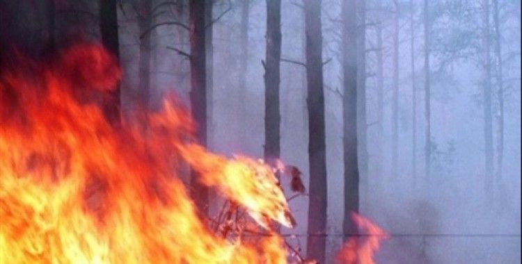 Çin'de korkutan orman yangını