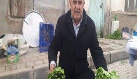 Yaprağı meyvesinden pahalı